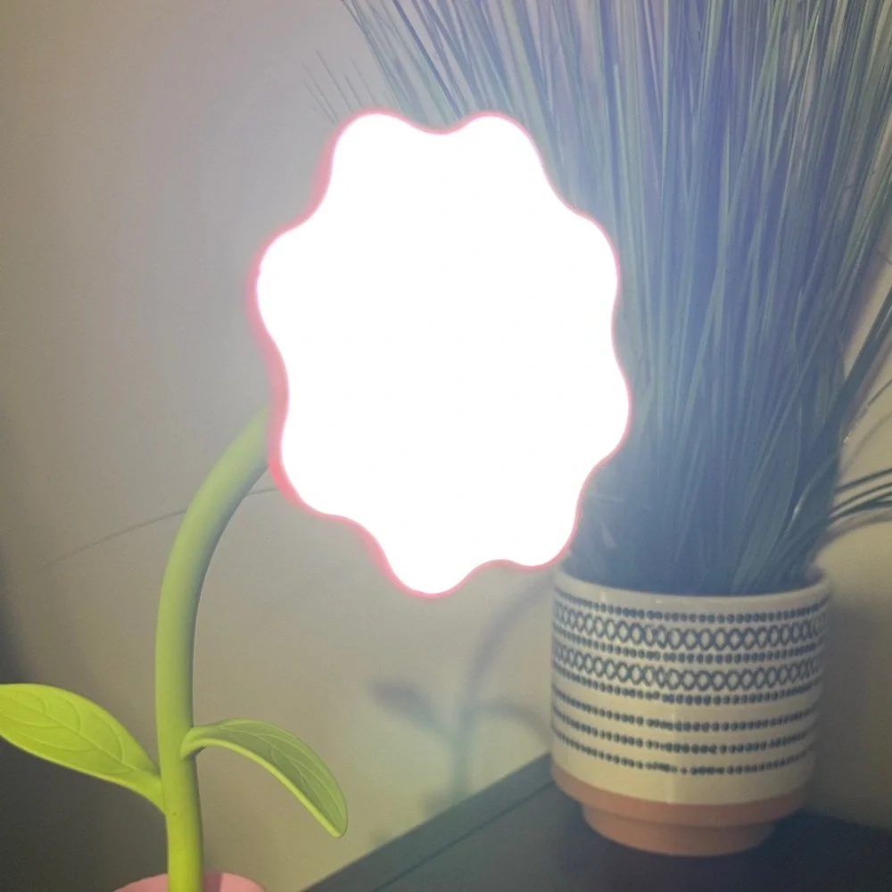 Pink and Green Flower Battery Desk Lamp